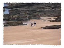 Solitude! Strathy Beach